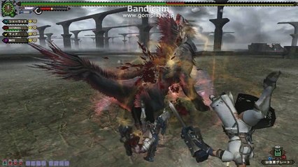 monster hunter frontier　剛種カム・ノノ
