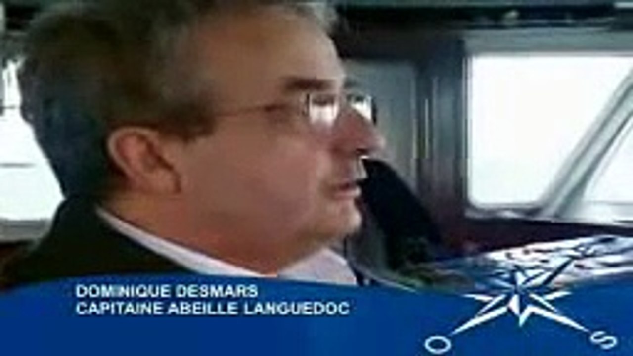 Abeille Flandre  le chasseurs des tempéte les vrie tempéte