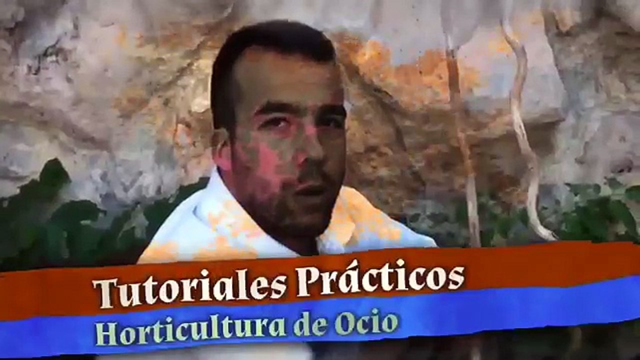 La alimentación de las gallinas ponedoras caseras | TuGranjaenCasa.Com