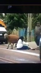 LoL Watch This Clip Like It Before u Die