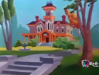 Pica-pau (português)