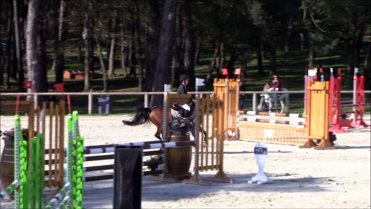 BIP 2015