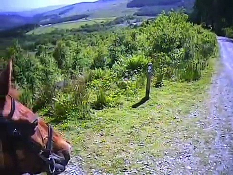Helmet Cam - Horse Riding in Beddgelert Forest