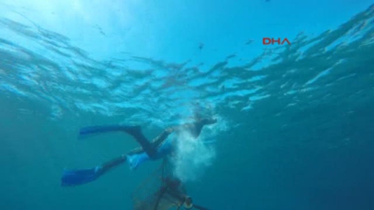 Bodrum'da Deniz Temizliğinin Son Adresi Turgutreis