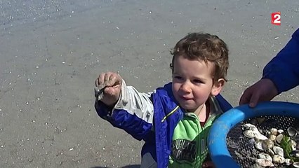 Bretagne : les vacanciers profitent de ce début de printemps ensoleillé