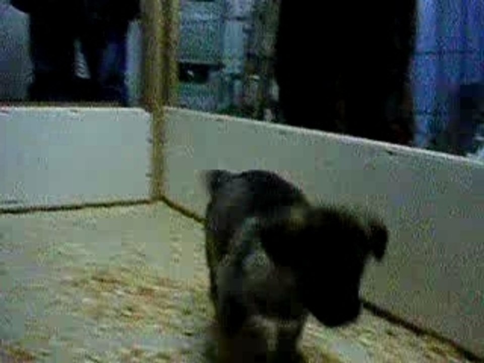 visite de mes futurs maîtres