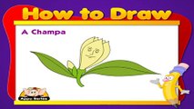 Champa - Learn to draw flowers in Hindi
