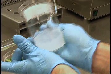 Aseptic Tissue Transfer Techniques - PhytoTechnology Laboratories