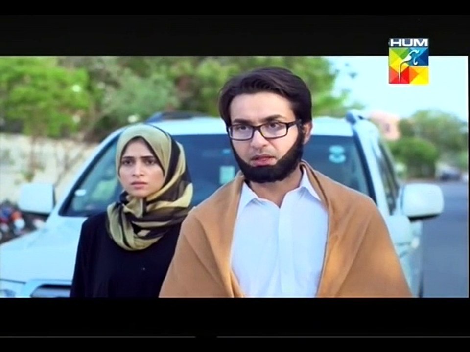 Aik pal Last P1