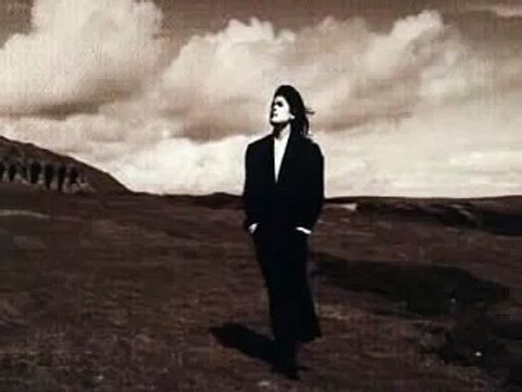 Tanita Tikaram - Twist In My Sobriety