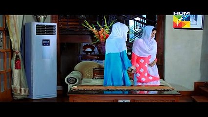 Aik Pal Last Episode Part 2 HUM TV