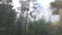Köyceğiz'deki Orman Yangını Kontrol Altına Alındı