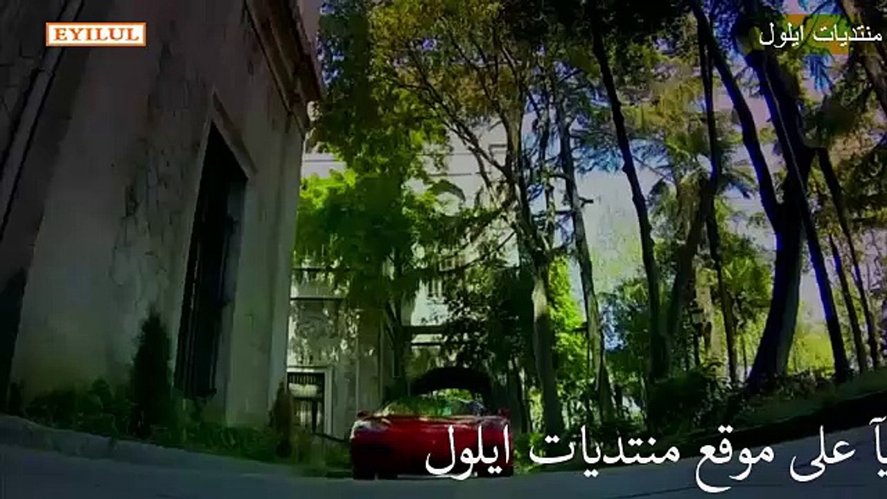 وادي الذئاب ج8 مدبلج ح1