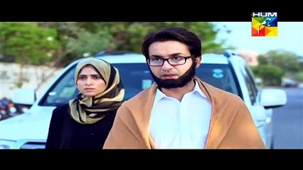 Aik Pal Drama - Last Episode 22. 20th April 2015