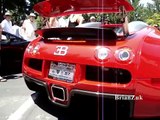 Exotic Car Show - Start Ups Revs Accelerations Flybys & More