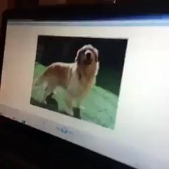 Eski resimlere baktım daldım BİR CIGARA YAKTIM