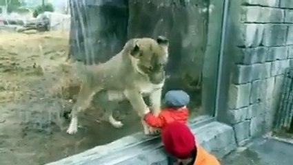 KORKUSUZ BEBEK ÇOK ŞİRİN