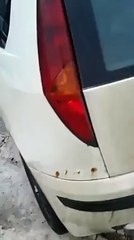 Adamın aklı çıktı