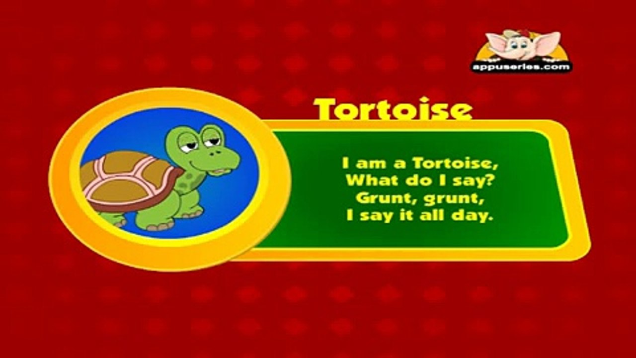 Animal Sounds in Hindi - Tortoise