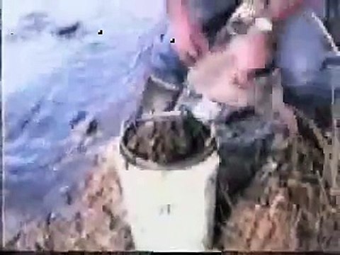 Gold Panning Machine see ROTAPAN.COM