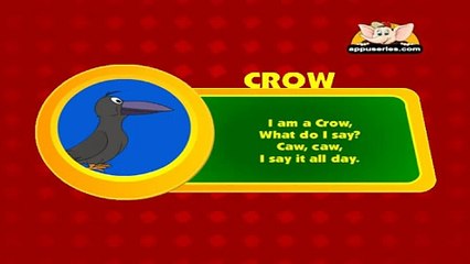 Animal Sounds in Hindi - Crow