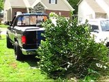 Fail & Win Removing Bushes Without Digging