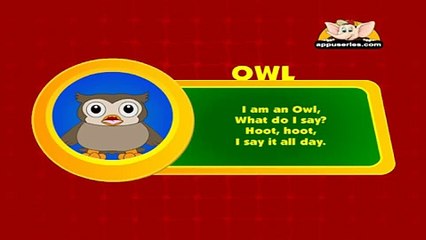 Animal Sounds in Hindi - Owl