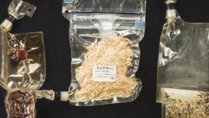 46-year-old freeze-dried lunar spaghetti sauce up for space auction