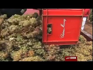 تقرير على شاشة BBC عربي يمدح جودة الخمور التونسيّة و عراقتها و تجذّرها في تقاليد الشعب التونسي