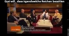 Gregor Gysi - Hans Werner Sinn - irgendwelche Reiche und das vertrauen der Märkte