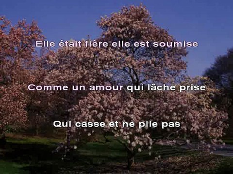 KARAOKE CLAUDE FRANCOIS - Magnolias for ever
