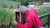 Release goes wrong, owl nearly drowns