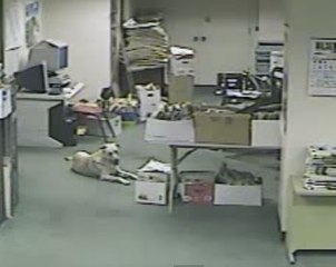 Perro detecta terremoto segundos antes de que ocurra