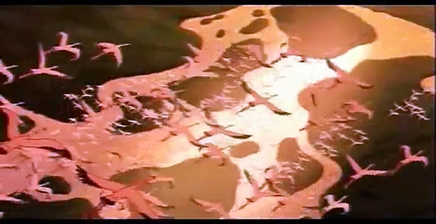 Le Roi Lion - introduction [HD] (fr)