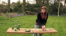 The Wildlife Garden Project - How to set up your bird feeders