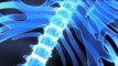 Spinal Cord Injury Research | UCLA Neurosurgery