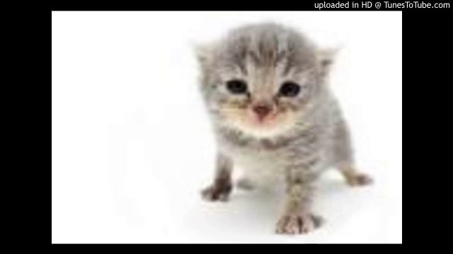 ミラーマンの唄/ミラーマンの歌/Mirrorman/植木浩史/ハニー・ナイツ/ピアノ 高橋丈太郎