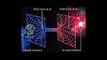 Les scientifiques du CERN espèrent créer un contact avec des univers parallèles dans les jours à venir