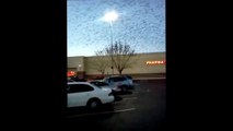 Birds Swarming Over Sacramento Target