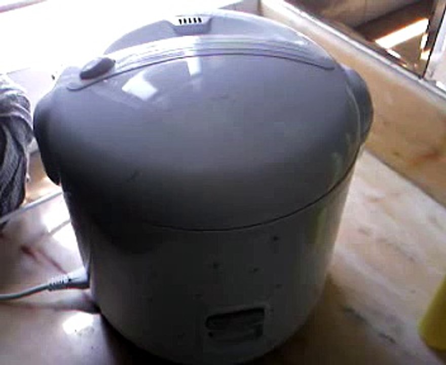 Maggots in the Rice Cooker