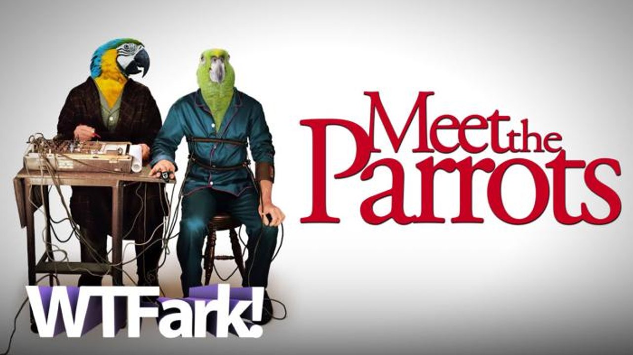 MEET THE PARROTS: Firefighters Rescue Parrots Screaming "Help! Fire!" From Idaho Fire