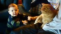 Funny babies annoying cats  - Cute cat & baby compilation