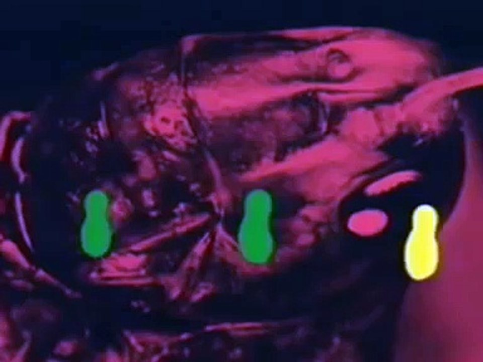 Edgard Varêse and Le Corbusier - Poême électronique (1958)