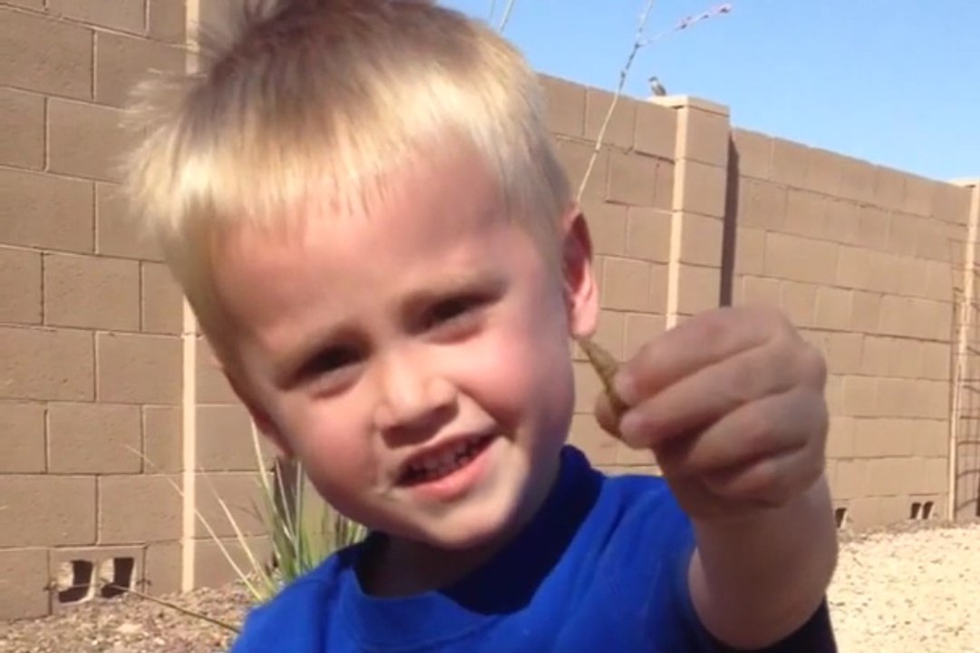 Ce gamin prend la queue d'un lézard et la mange !