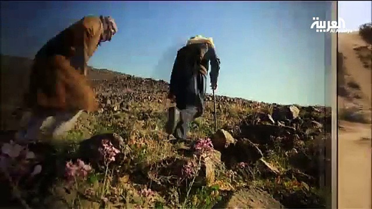 30 الدرعيـ(2)ــة