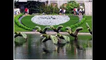 Topiary - the art of shaping trees & shrubs into art forms ~ courtesy of Pinterest