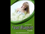 Permanent Yeast Infection Treatment Solution