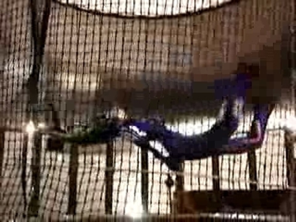 Carlton - Simulateur Chute libre