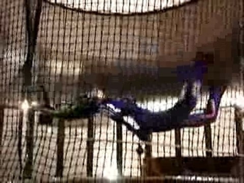 Carlton - Simulateur Chute libre