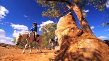 The Flinders Ranges & Outback of South Australia -- an exhilarating holiday destination.